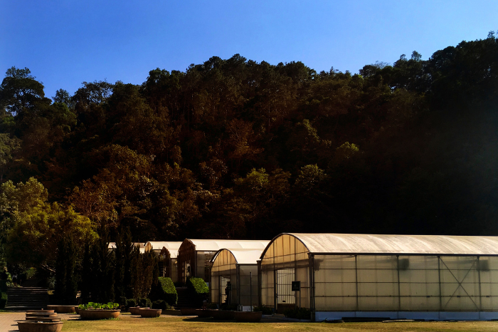 Why Choose Affordable Storage Brisbane for Your Storage Needs