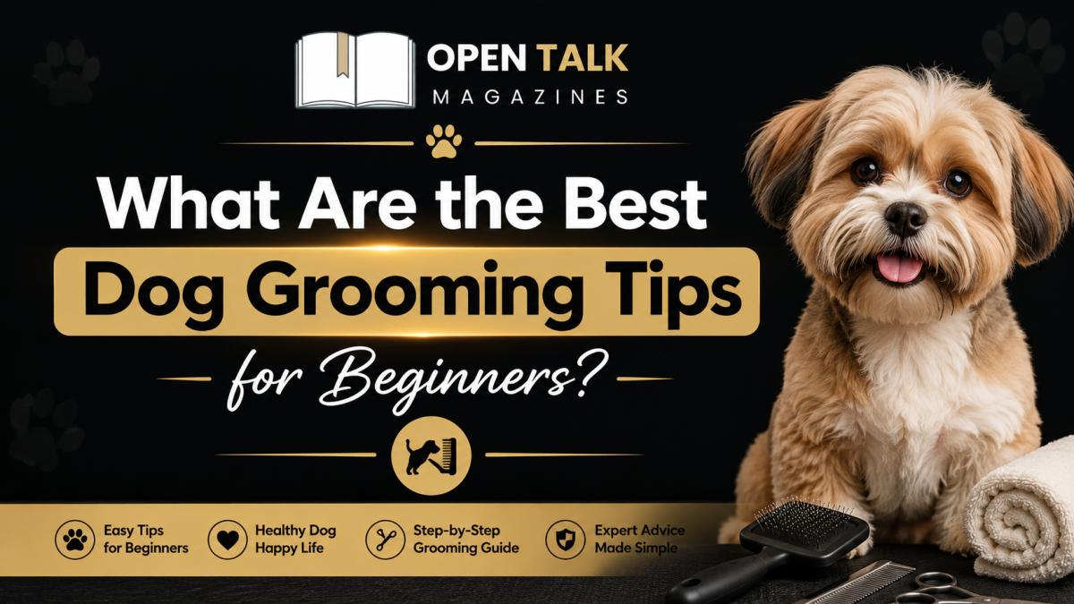 What Are the Best Dog Grooming Tips for Beginners?