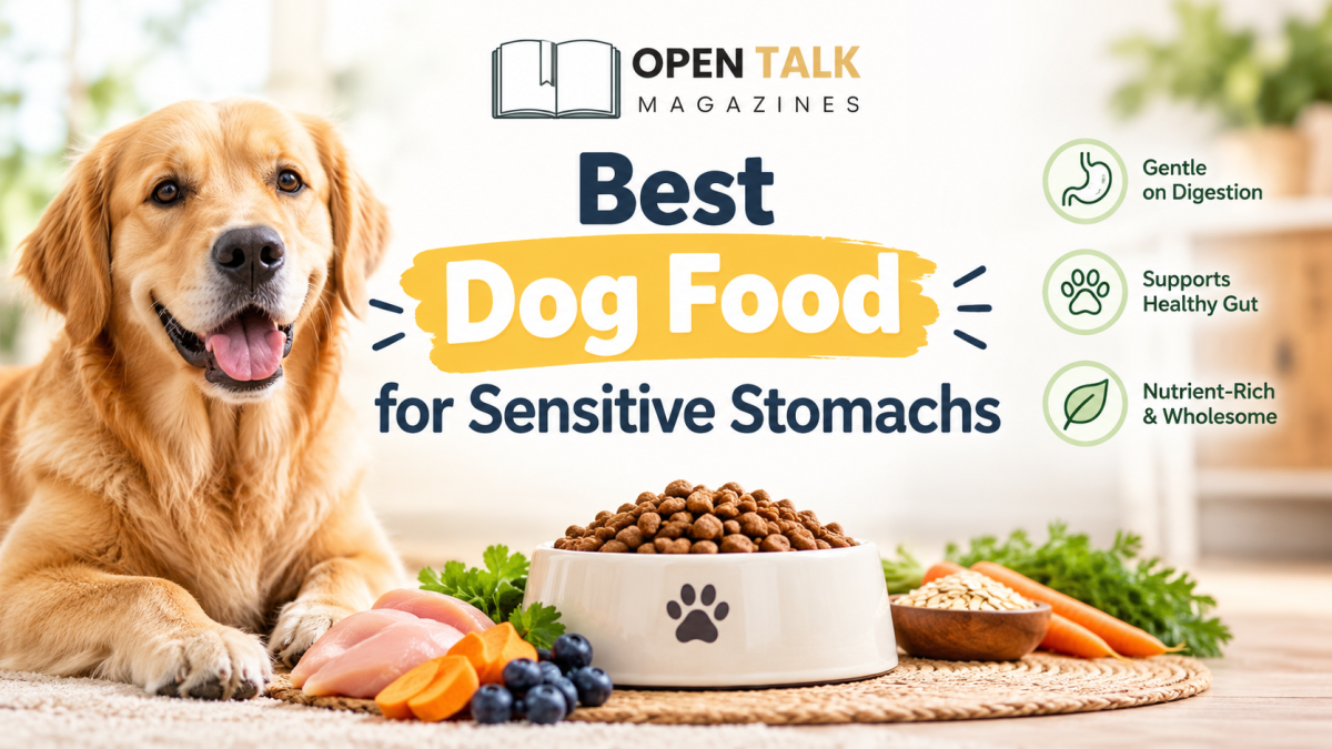 Best Dog Food for Sensitive Stomach