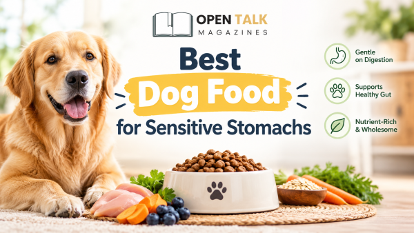Best Dog Food for Sensitive Stomach